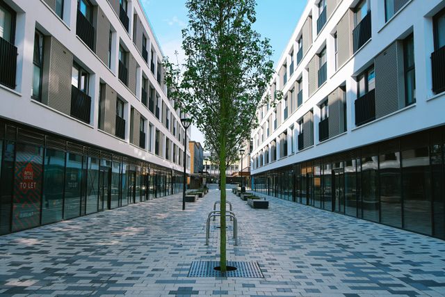 Street view of modern buildings with tree